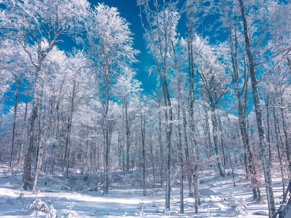 Konak 1400 Tara Mokra Gora Exterior foto