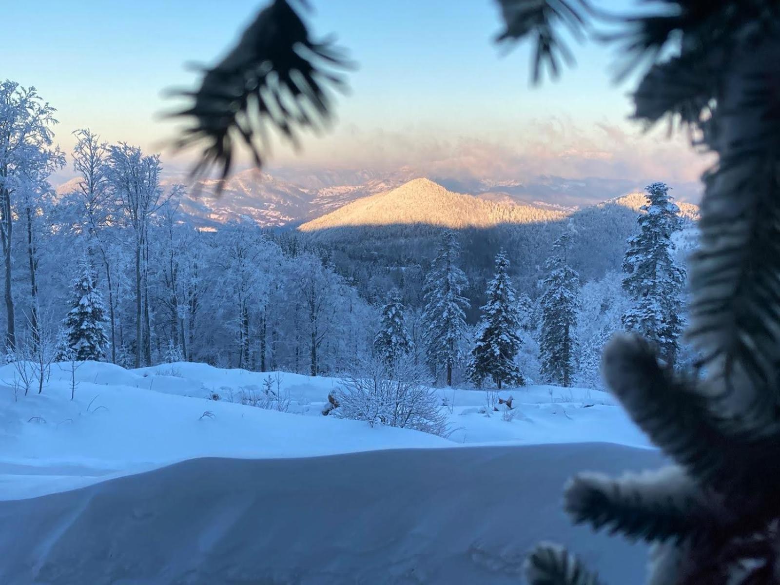 Konak 1400 Tara Mokra Gora Exterior foto